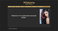 Desktop Screenshot of bv-billedsyning.dk